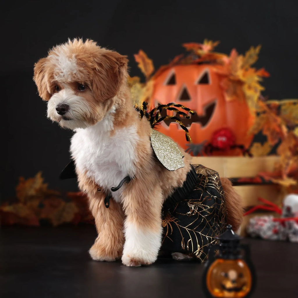 A dog wearing a polyester suit costume for Halloween, shown in sizes S, M, L, and XL.