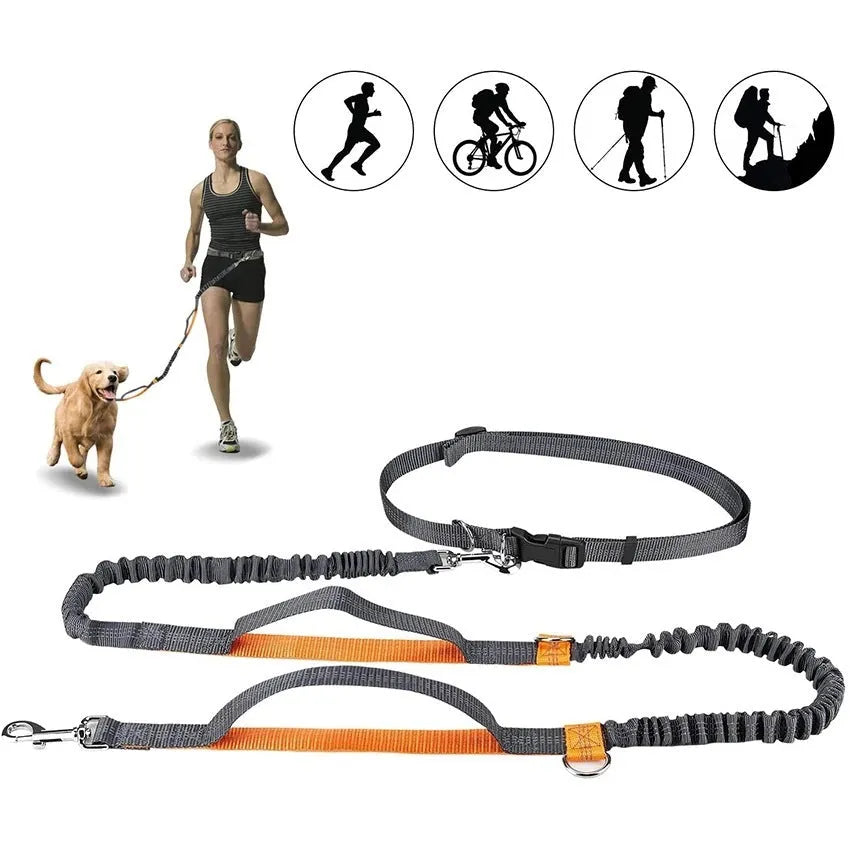 Adjustable nylon pet leash in fluorescent green, orange, or light blue, one size, for walking and jogging.