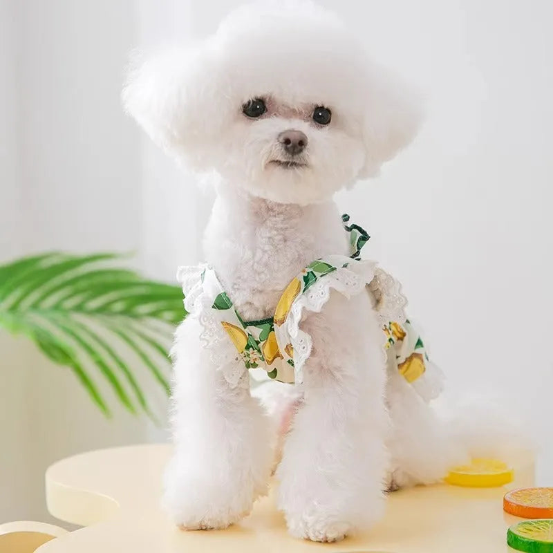 Rock yellow lemon princess style dog dress with thin breathable straps for small dogs