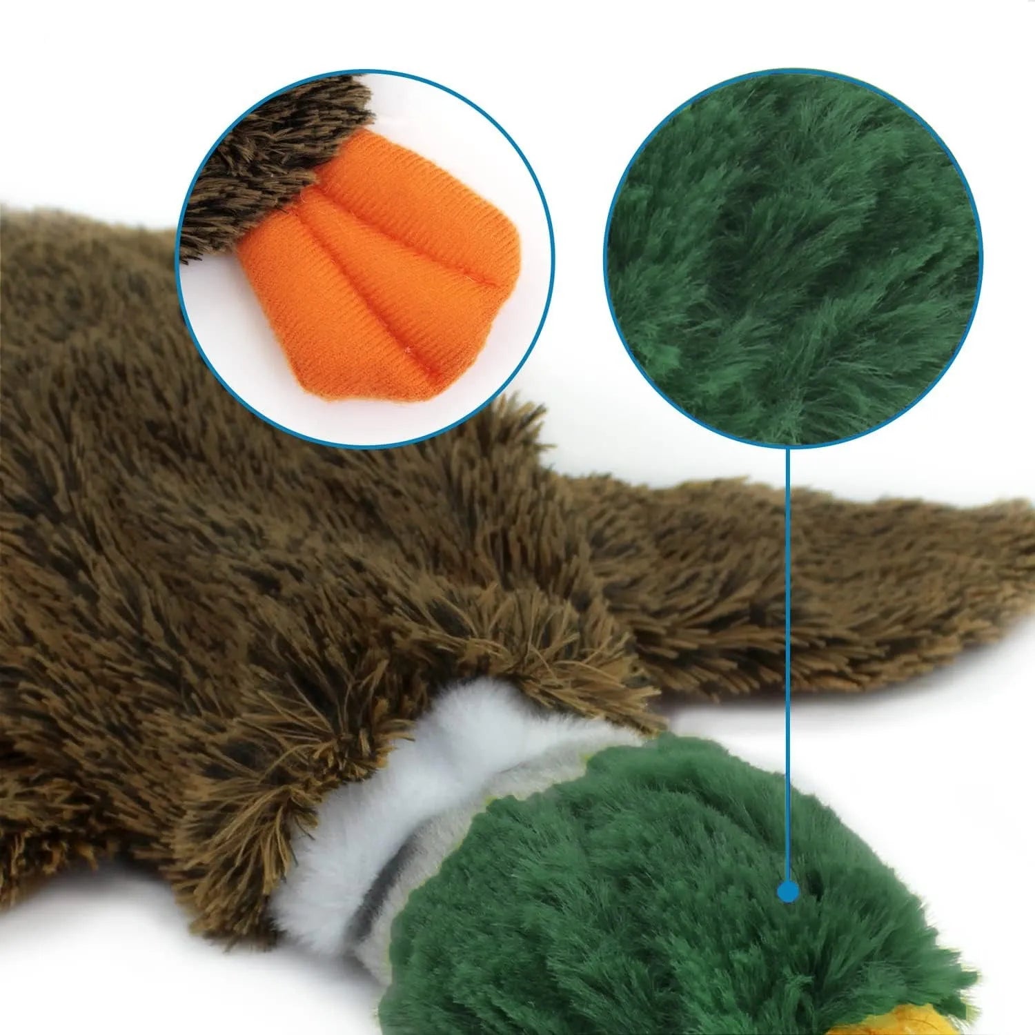 Green stuffless plush dog toy shaped like a wild duck with a squeaker in head and tail.