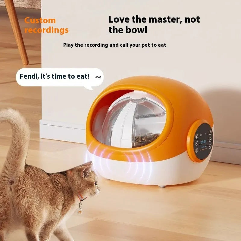Plastic automatic cat feeder with chip identification and anti-grab design, UK plug
