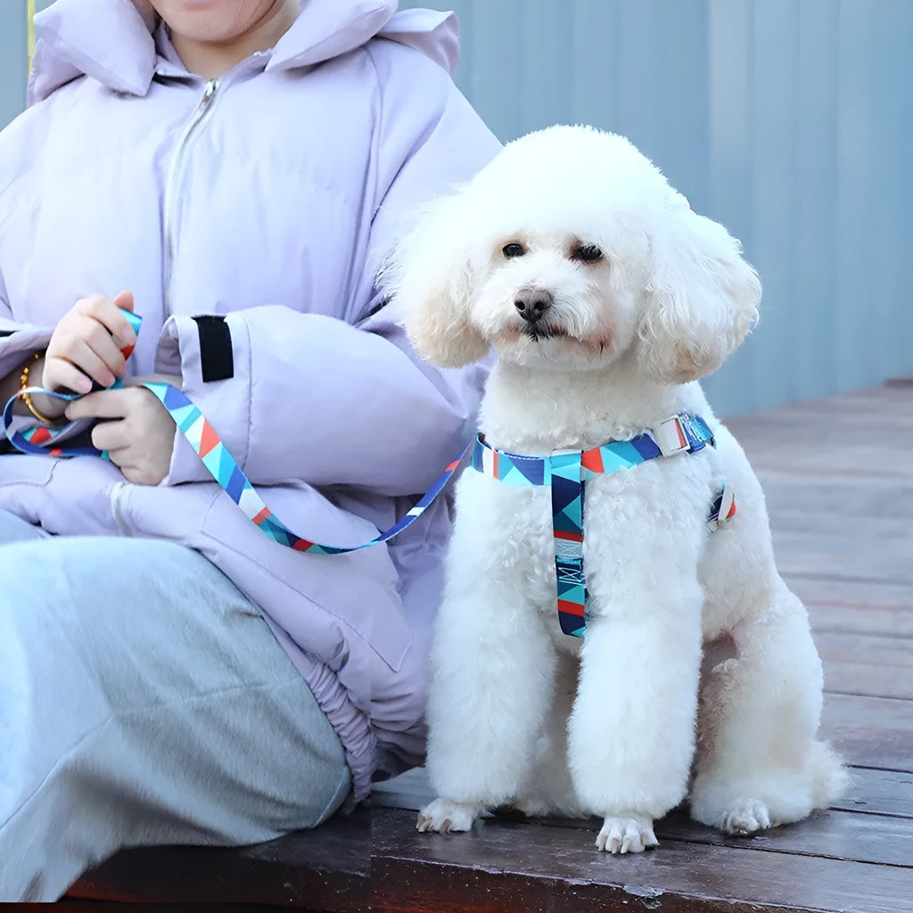 Blue adjustable dog chest harness with attached haulage rope on a white background.