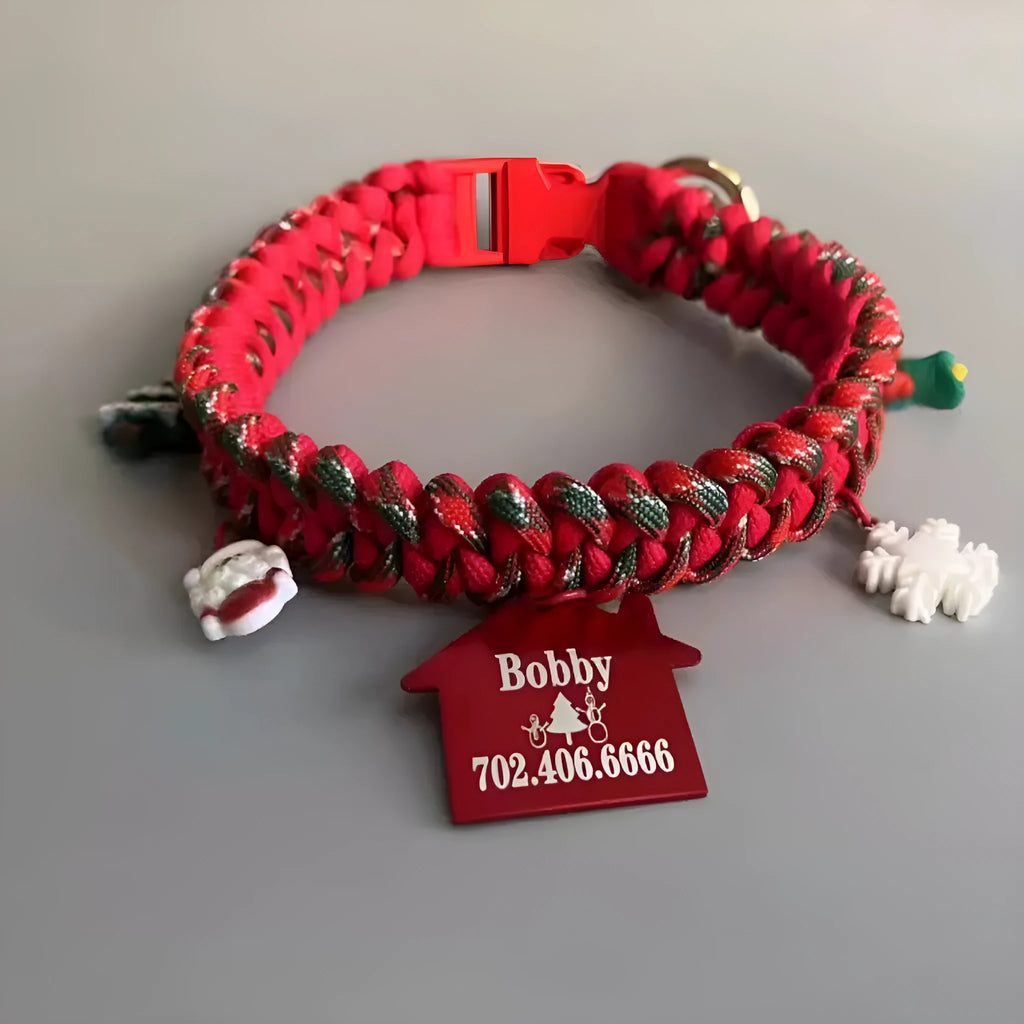 Green rope dog leash with P chain weave and a quick-release buckle laid out flat.