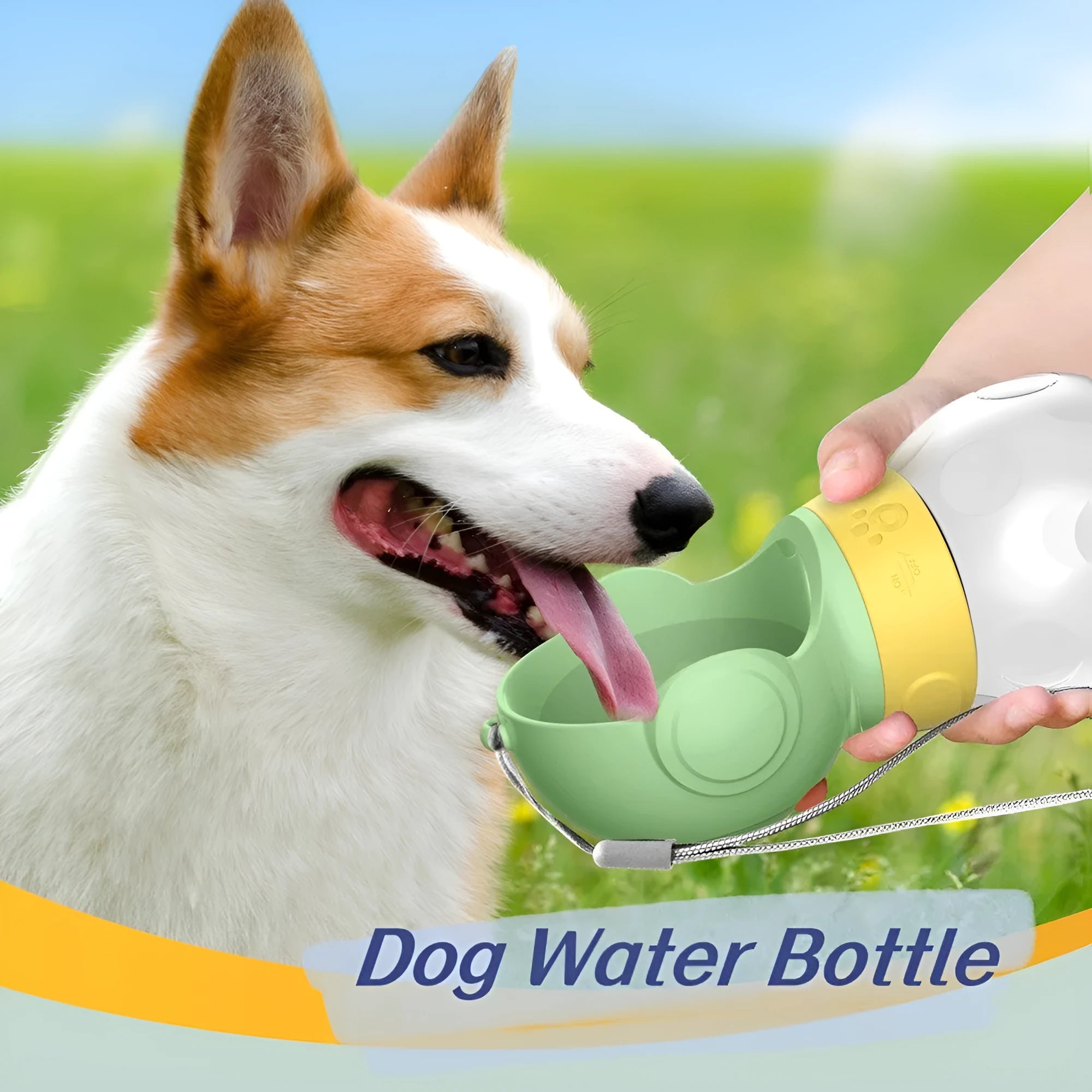 Portable dog water bottle with leak proof bowl and food storage in green, 380ml capacity