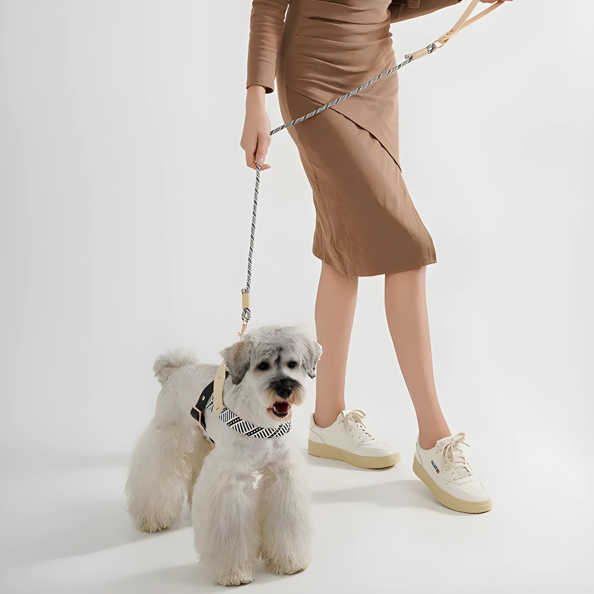 Dog hand holding rope pet harness chain in nylon PVC, Shadow White colour, with chest strap on neutral background