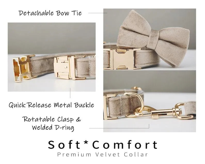 Velvet dog collar with bow tie, cotton lining and metal buckle, shown in a choice of colours and sizes XXS to XL