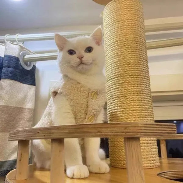 Apricot or brown polar fleece cat vest showing lambswool-style texture and vest design