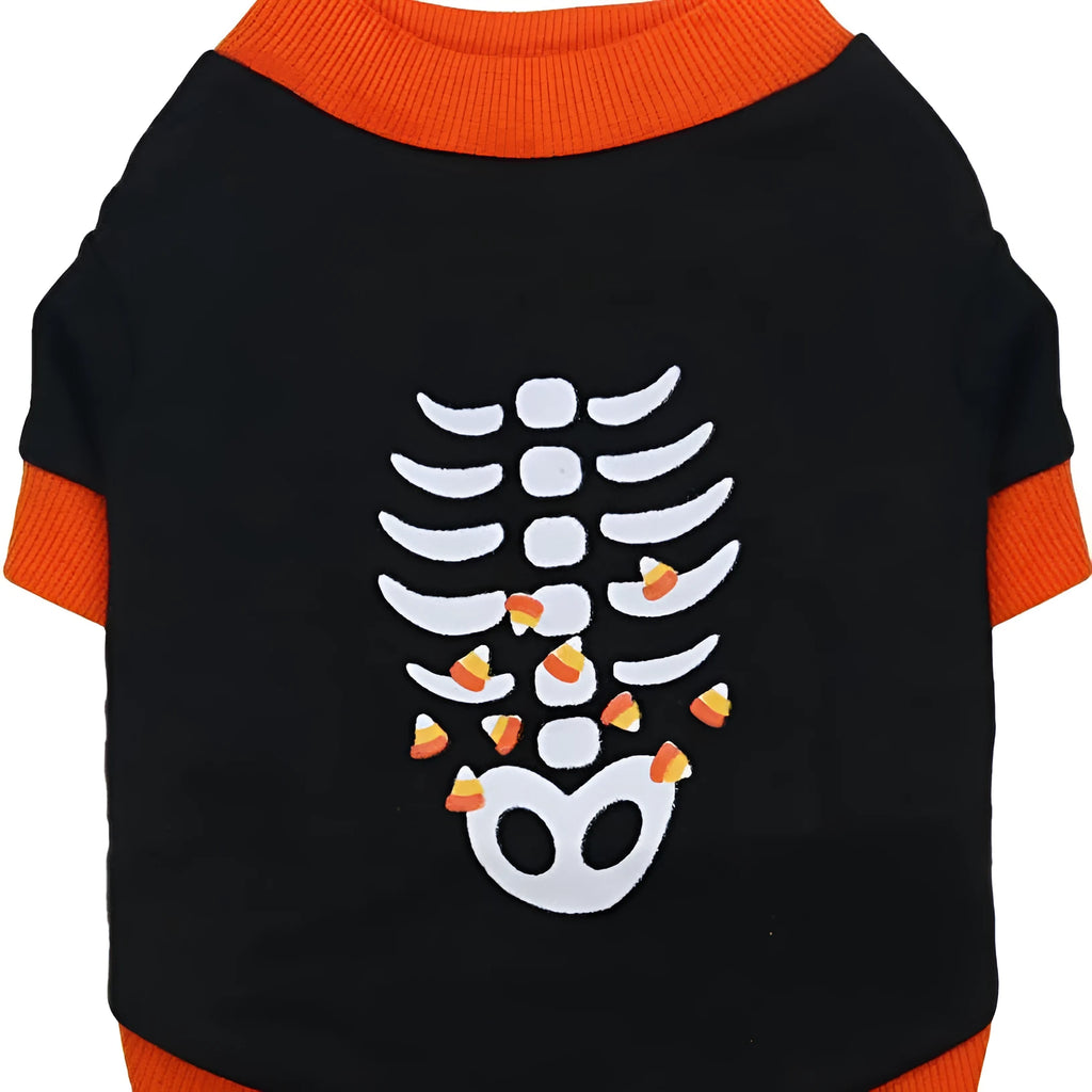 Orange Halloween dog sweatshirt with skeleton print on small Dachshund