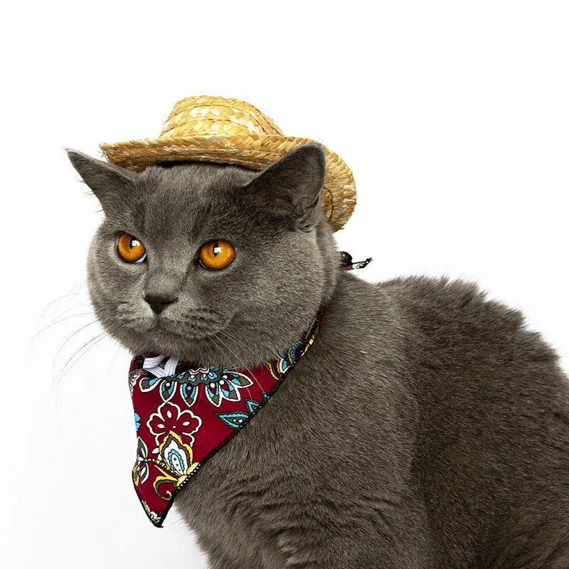 Pet cat western straw cowboy hat in brown colour on cat head