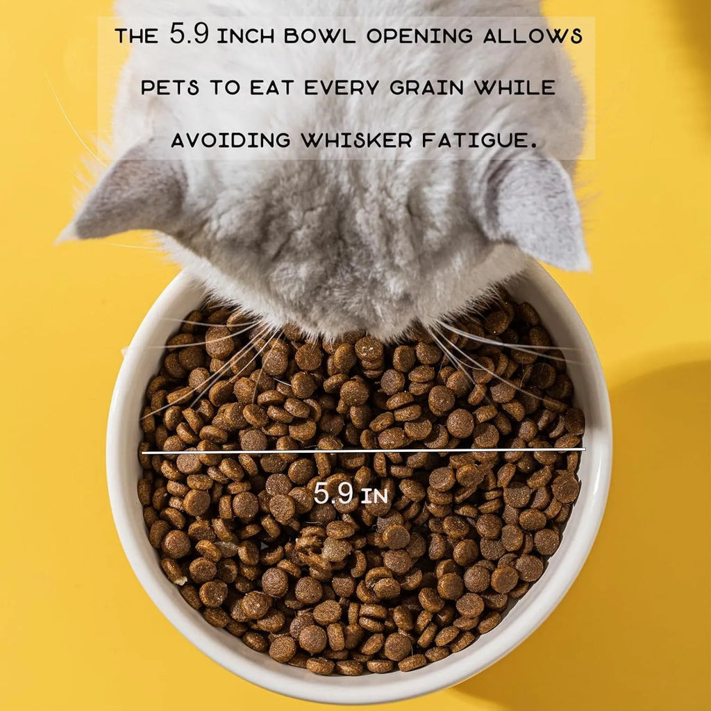 Raised ceramic cat bowl with animal design on 12.5cm elevated base