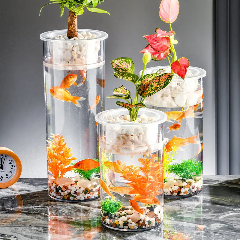 Transparent column fish tank in PET and PP, cylindrical desktop aquarium for micro landscape or living room decoration