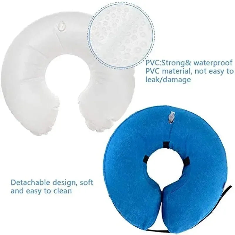 Blue inflatable soft recovery collar for a dog after surgery.