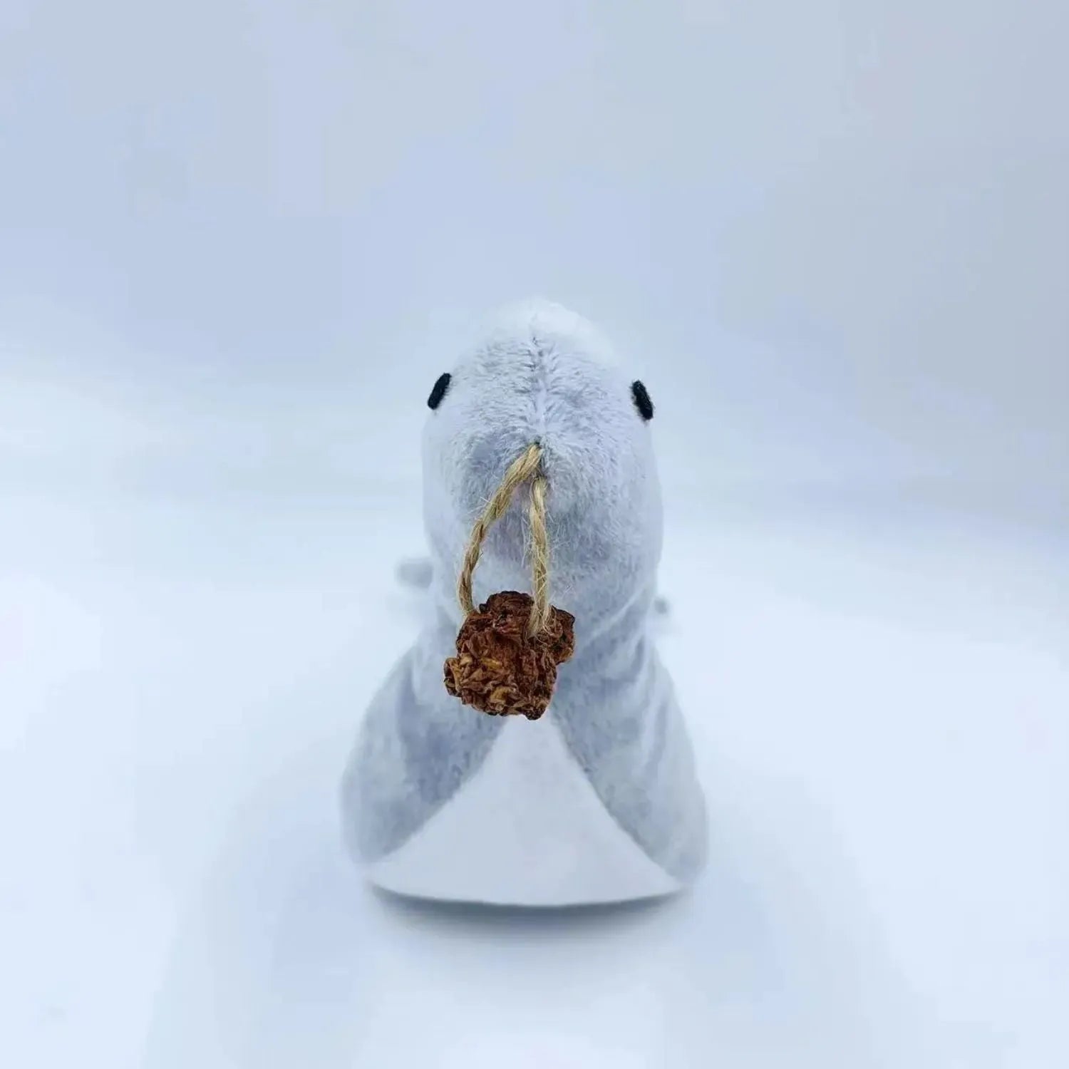 Blue sea lion plush cat toy with bell and catnip gall fruit for interactive play