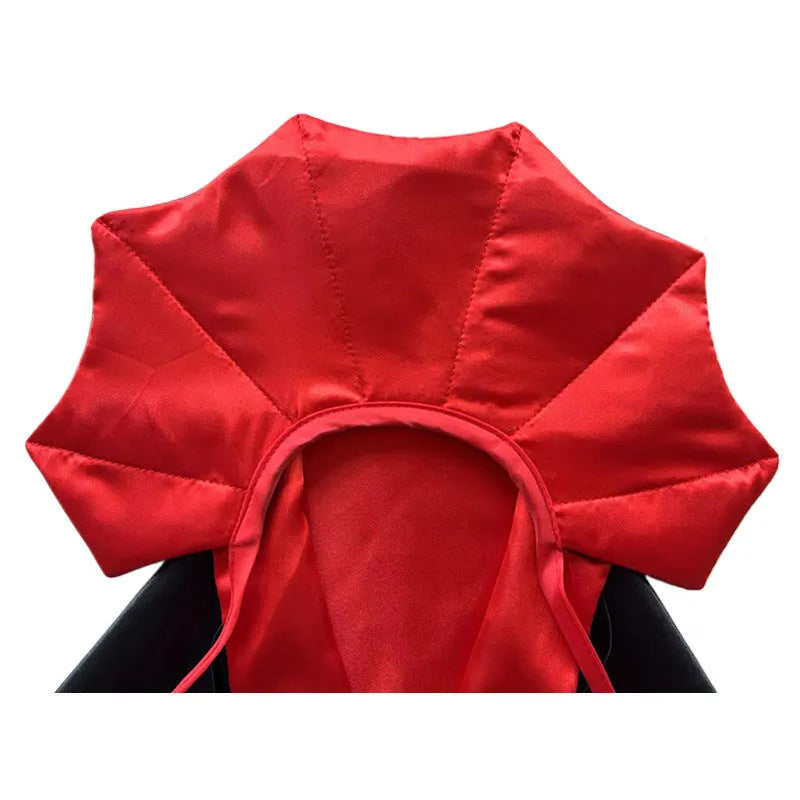 Halloween pet costume featuring bat devil cloak and matching hat on dog