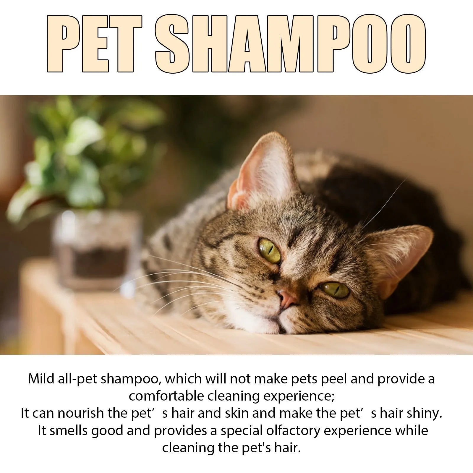 Bottle of mild pet shampoo for dogs and cats in 100ml and 300ml sizes for soft, tangle-free hair.