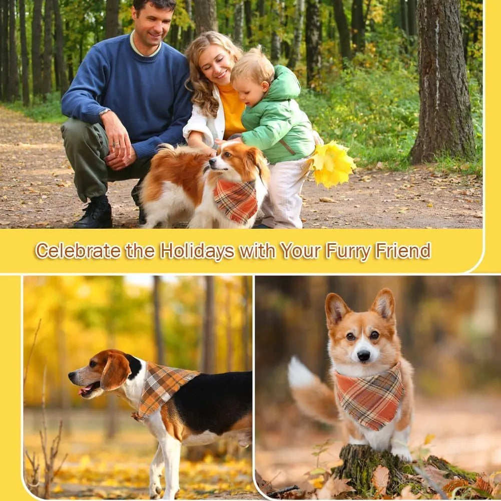 Brown, green, orange, red, and yellow plaid dog bandana with tassels on the edges.