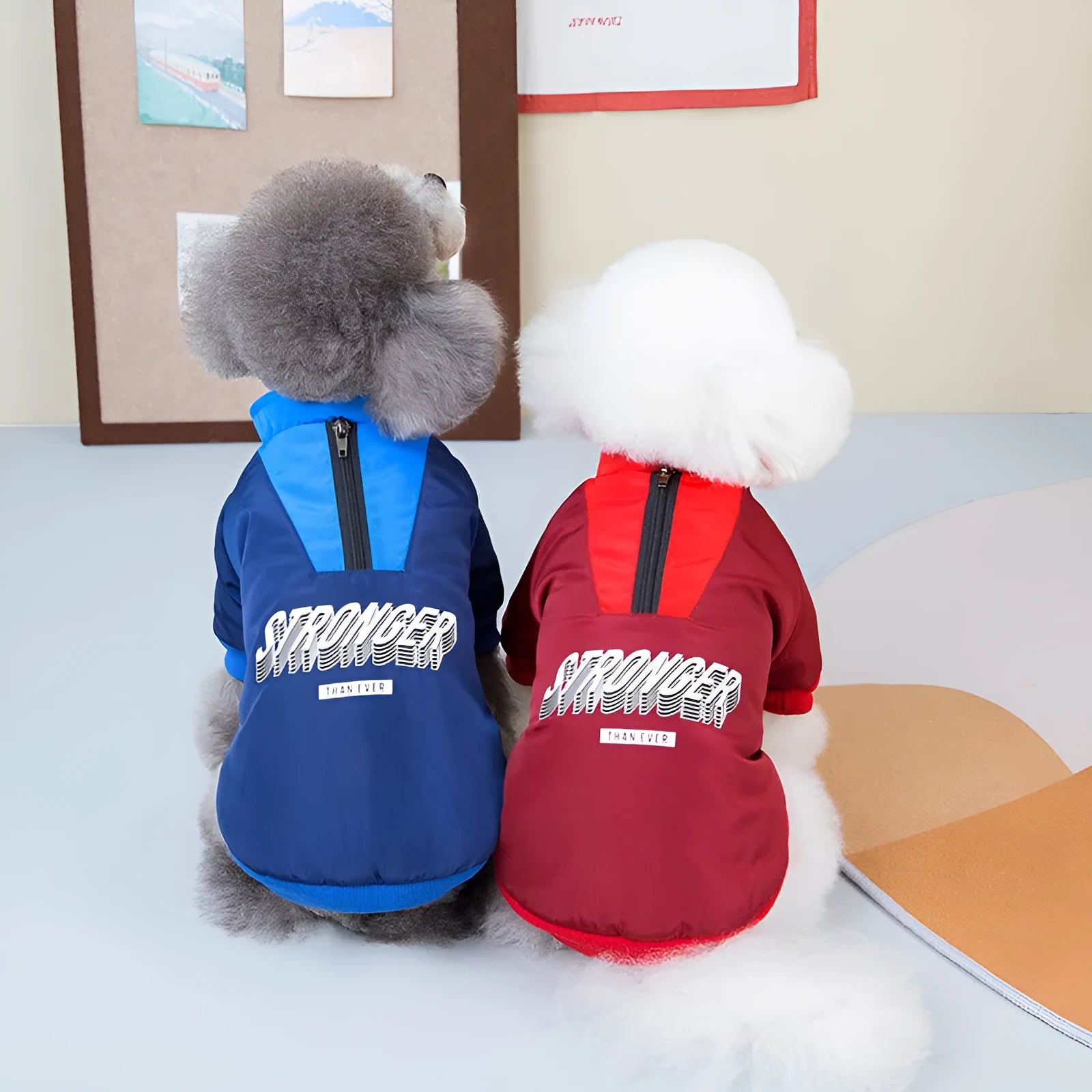 Red V-neck cotton dog coat on mannequin showing splicing design and thick fabric texture