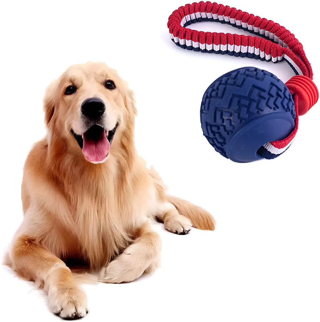 Red rubber dog ball with rope attachment showing textured surface and 29cm total length