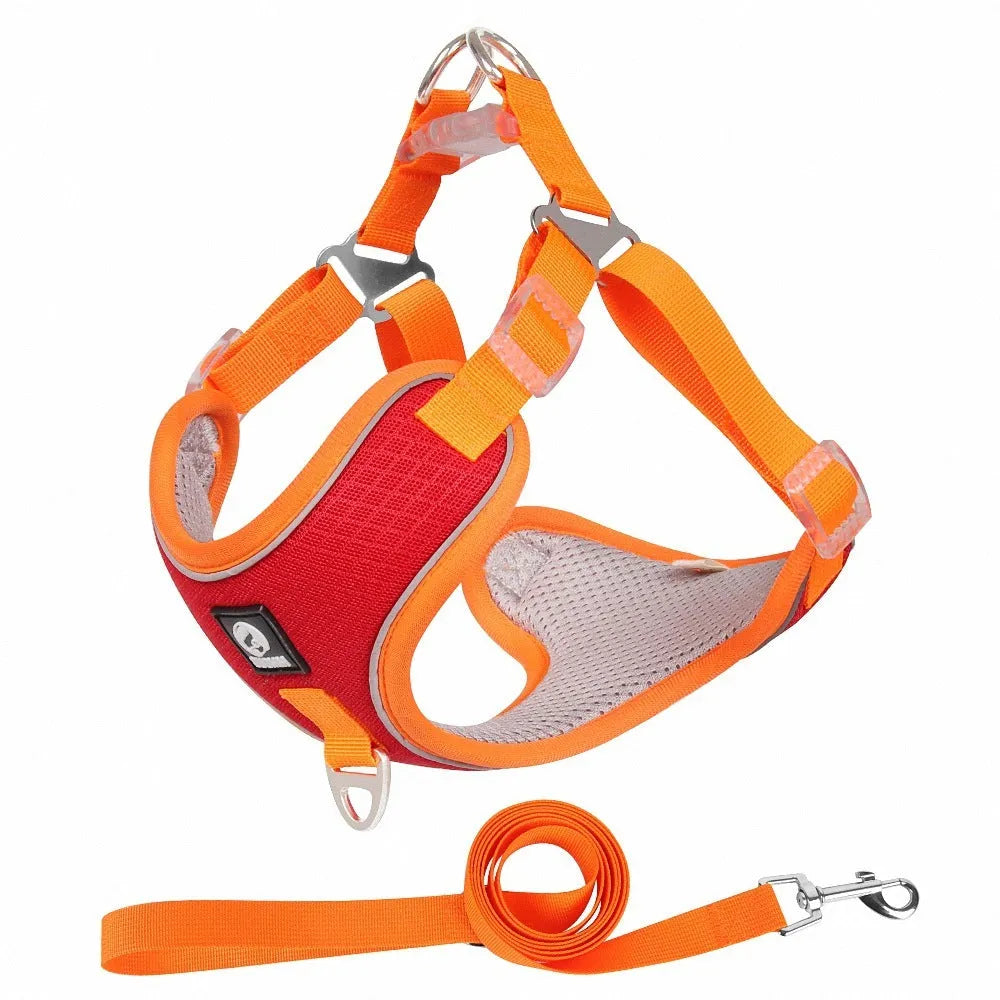 Adjustable dog harness with breathable mesh and reflective piping in black colour on mannequin