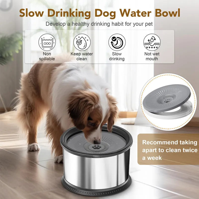 Stainless steel large capacity pet water bowl with non-slip base in black, 2.5L capacity