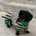 Striped dog vest in striped clothes colour for autumn and winter, available in sizes S to XXL