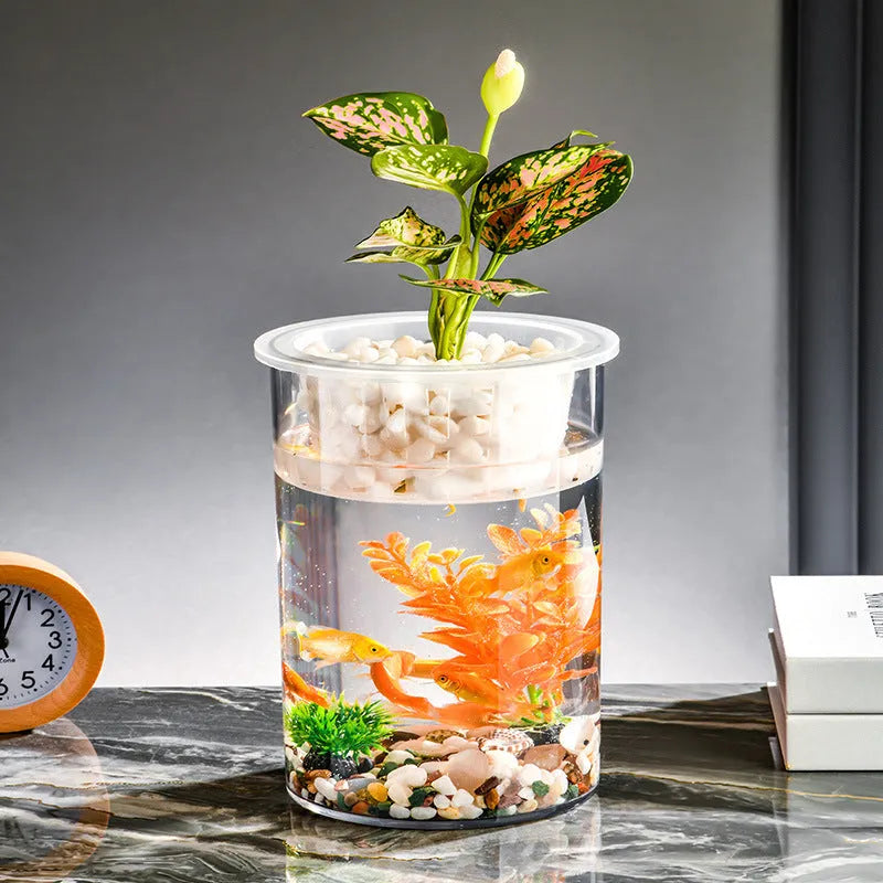 Transparent column fish tank in PET and PP, cylindrical desktop aquarium for micro landscape or living room decoration
