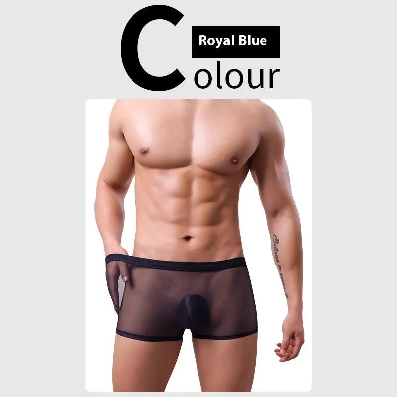 Men's thin mesh boxer briefs in low-waist design on a colour background.