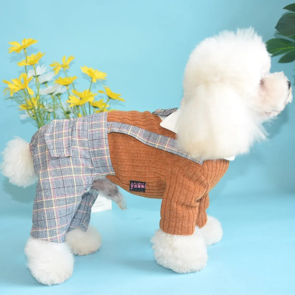 Orange cotton button shirt for small dog on mannequin