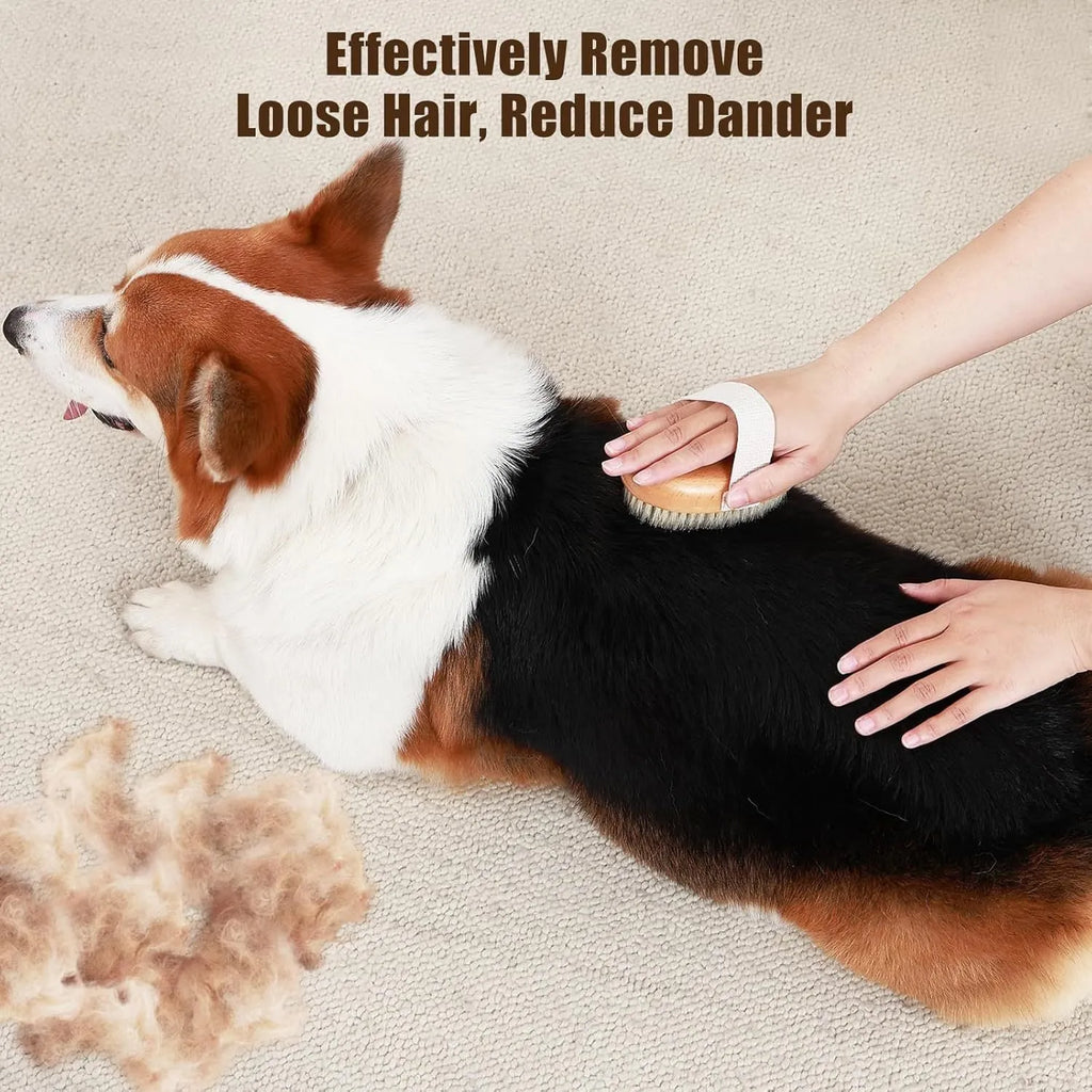 Soft natural boar bristle pet palm brush on beech wood handle for short haired dogs and cats gentle grooming