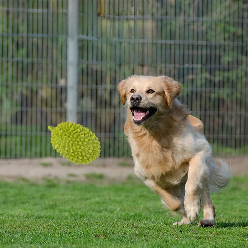 Durian-shaped dog chew toy in beige, green, and yellow colours with textured surface for teeth cleaning