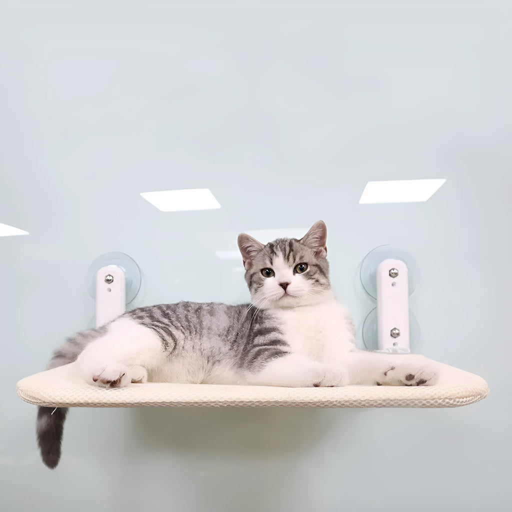 Stainless steel cat window hammock seat with suction cup attachments in beige mesh colour