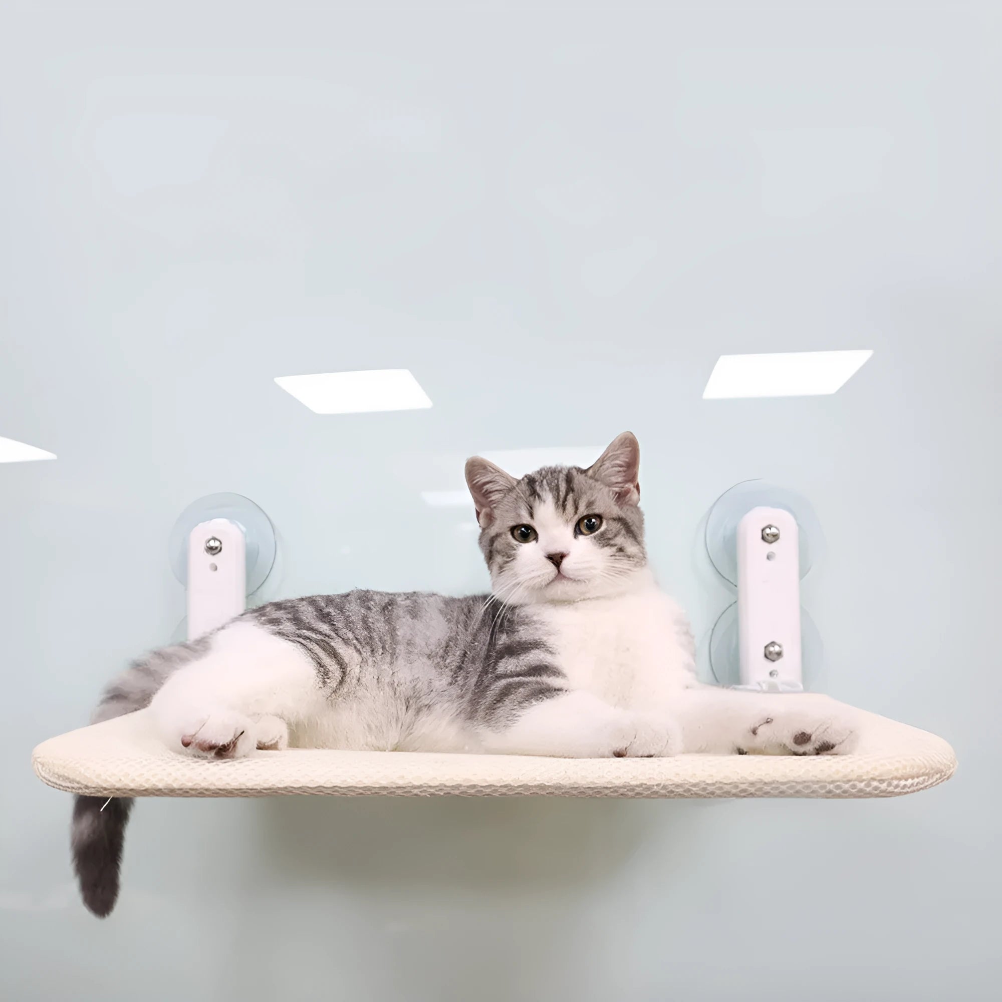 Stainless steel cat window hammock seat with suction cup attachments in beige mesh colour