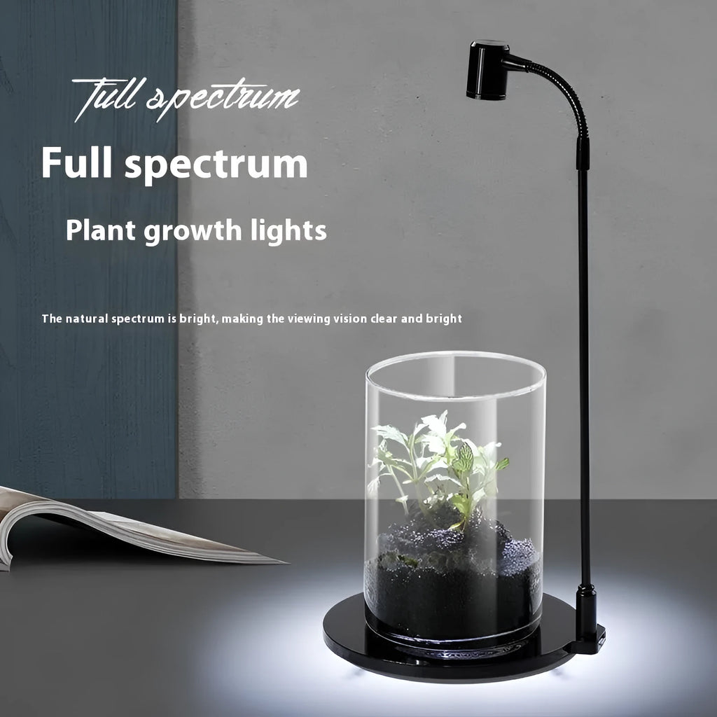 Round base LED USB plant lamp with white light on a glass container