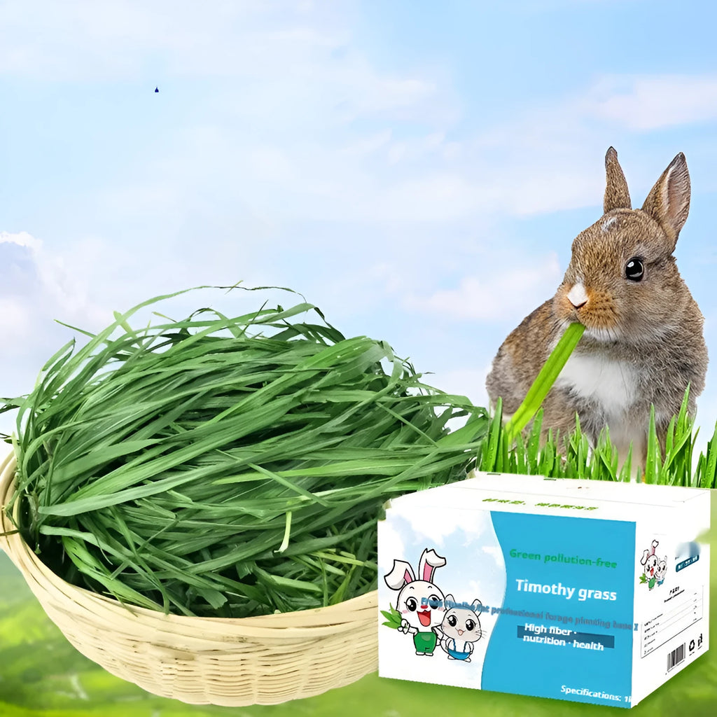 Dried Timothy grass hay 1kg gross 0.68kg net for rabbits, chinchillas, and guinea pigs