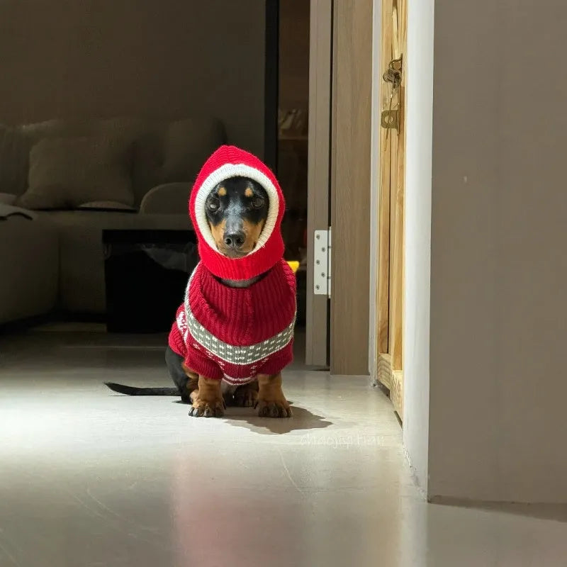 Red plush Christmas Dachshund hat pet disguise cap with scarf Little Red Riding Hood style for dogs
