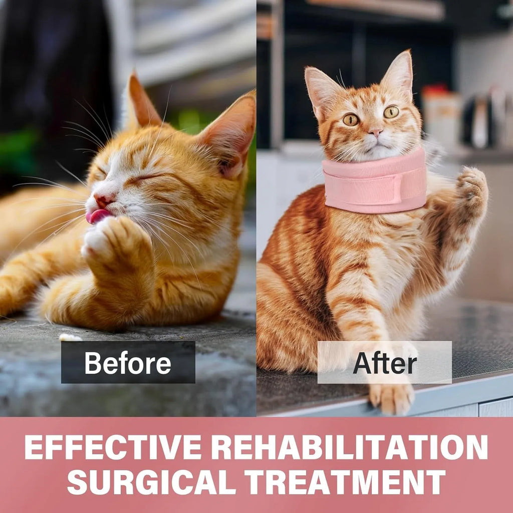 Soft cat cone recovery collar in grey and pink colours showing four size options