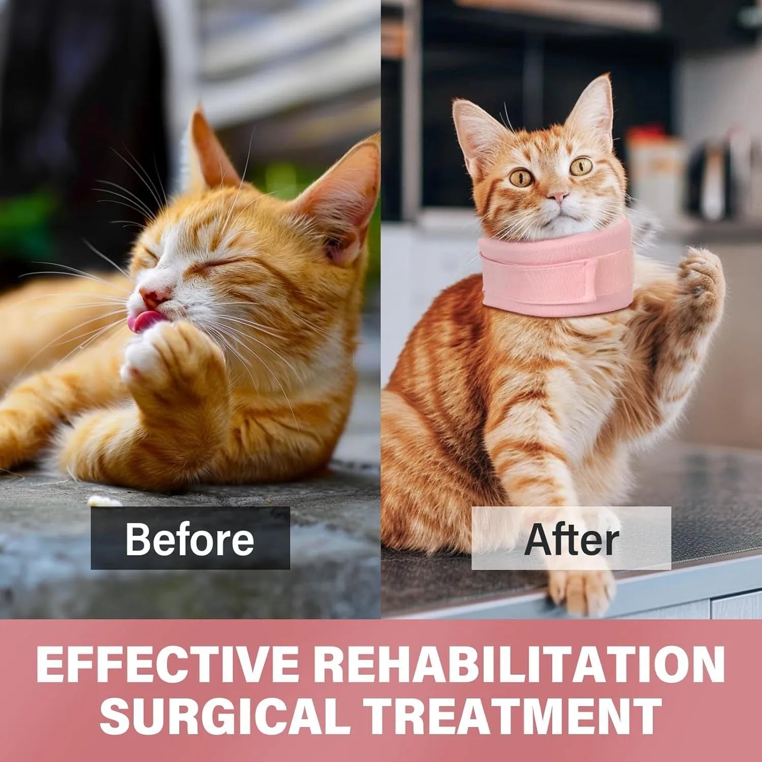 Soft cat cone recovery collar in grey and pink colours showing four size options