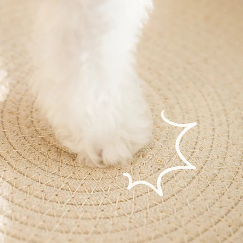 Green oval sisal cat scratch pad bowl serving as a cat bed and scratcher.