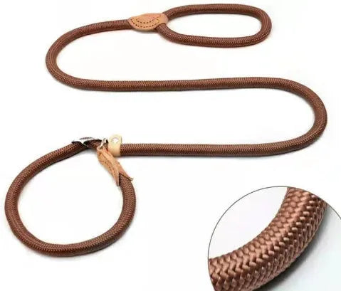 Brown nylon dog leash with P-chain attachment measuring 2.1 metres long