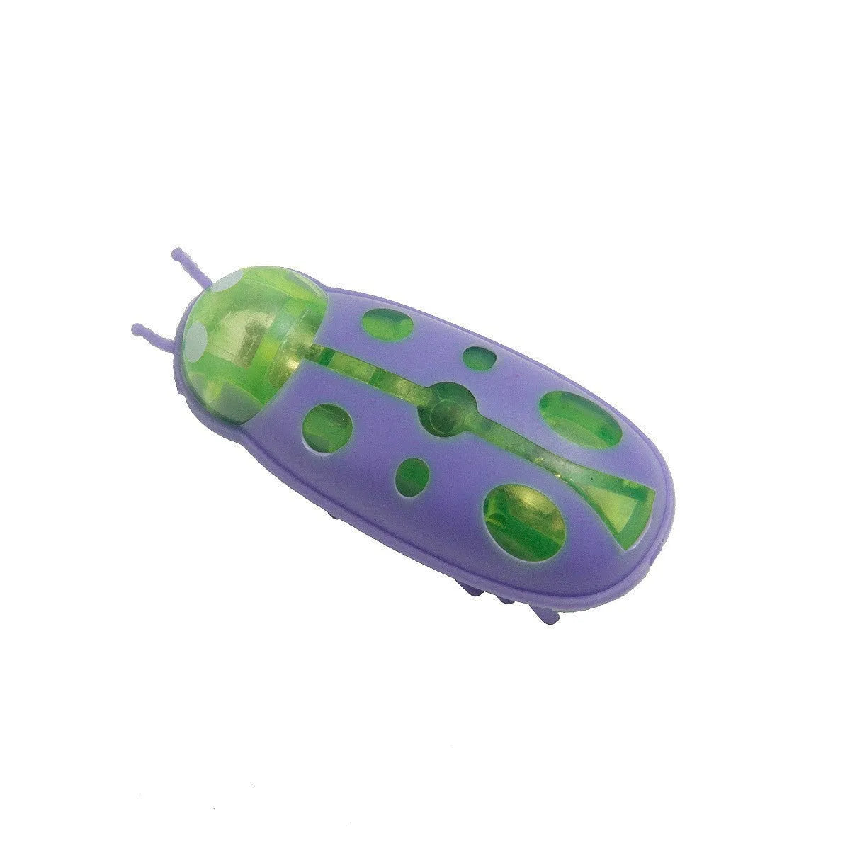 Electric toothbrush worm cat teaser toy in ladybug red and black colour with 4.5cm dimensions