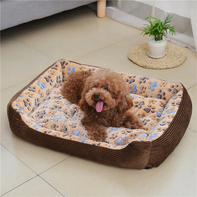 Beige plush dog bed with raised edges and removable cushion for small pets