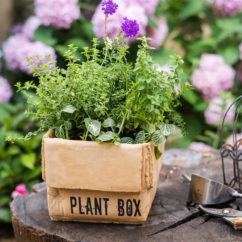 Cement flowerpot with brown paper carton design and drainage hole for indoor balcony plants.