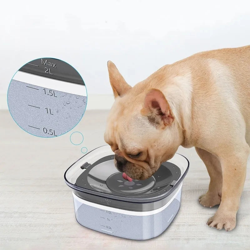 Transparent large dog water bowl with floating disc showing visible water level