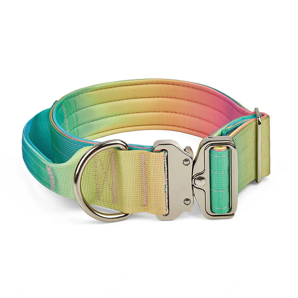 Gradient nylon dog collar and leash set, widened collar, Green Blue Pink Purple options, sizes L M, 2.5cm x 150cm leash