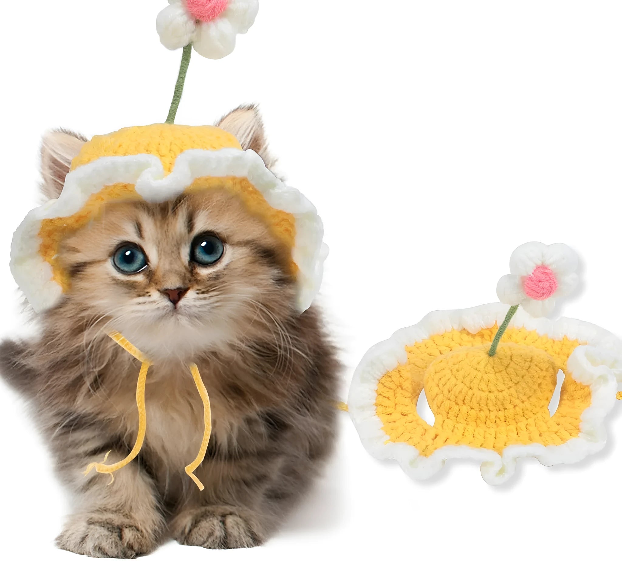 Green knitted cartoon cat hat on a small dog for a costume.