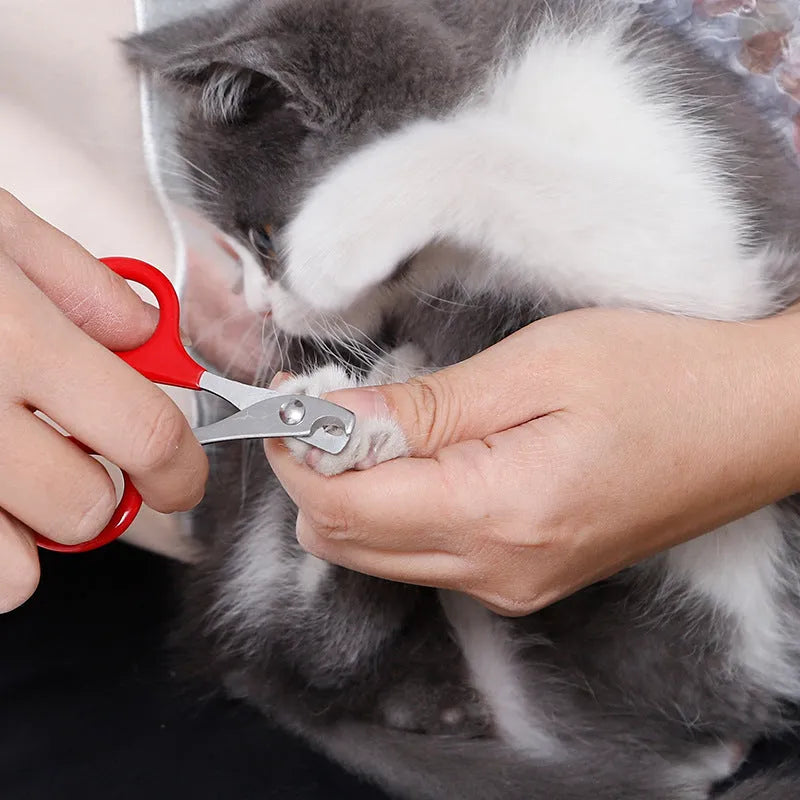 Pet nail clippers stainless steel blades plastic rubber handle small dog cat grooming tool