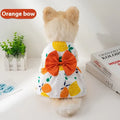 Ultra-thin polyester pet dress with butterfly knot and floral print in multiple colour options
