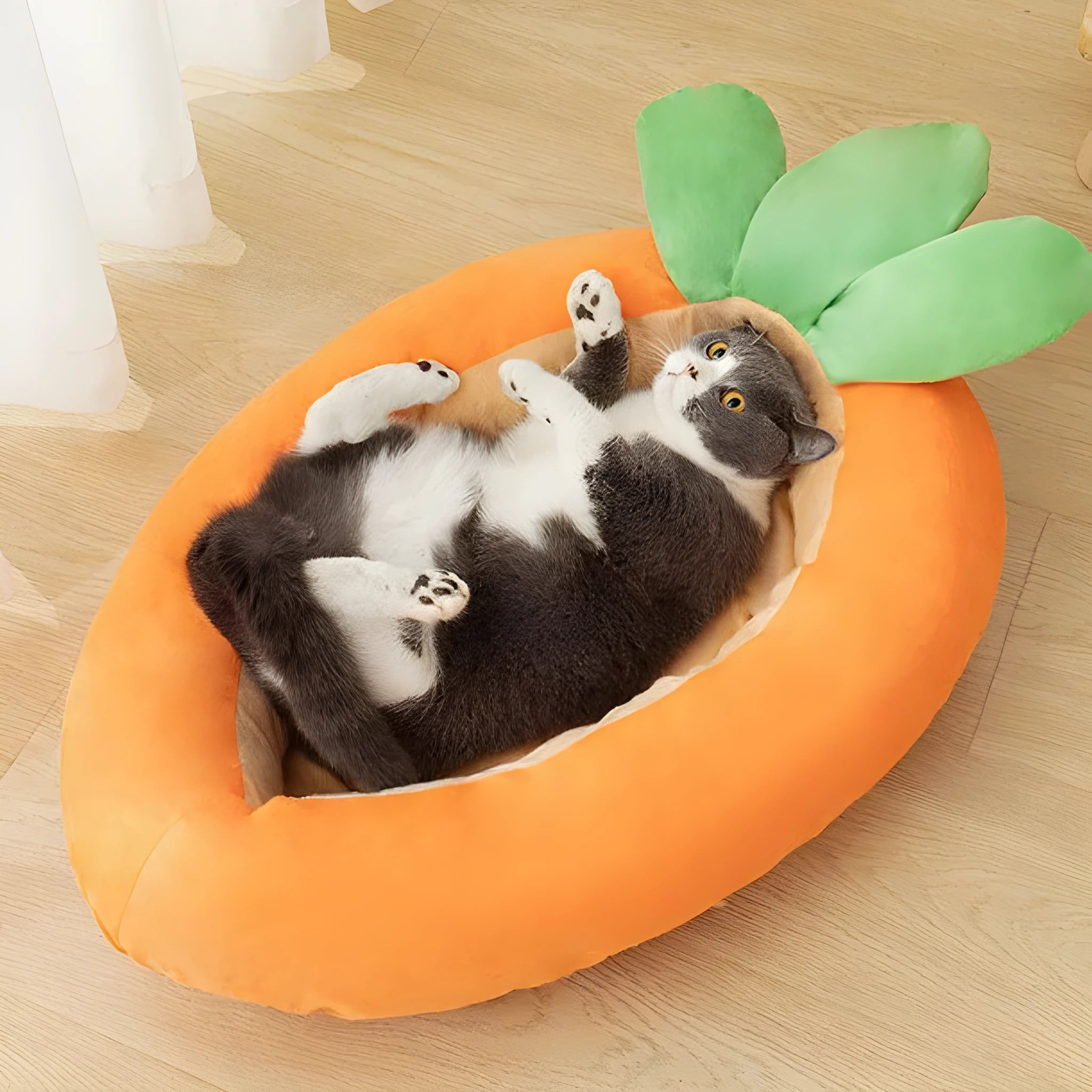 Cartoon carrot pattern double-sided cloth pet mat with non-slip backing in carrot colour.
