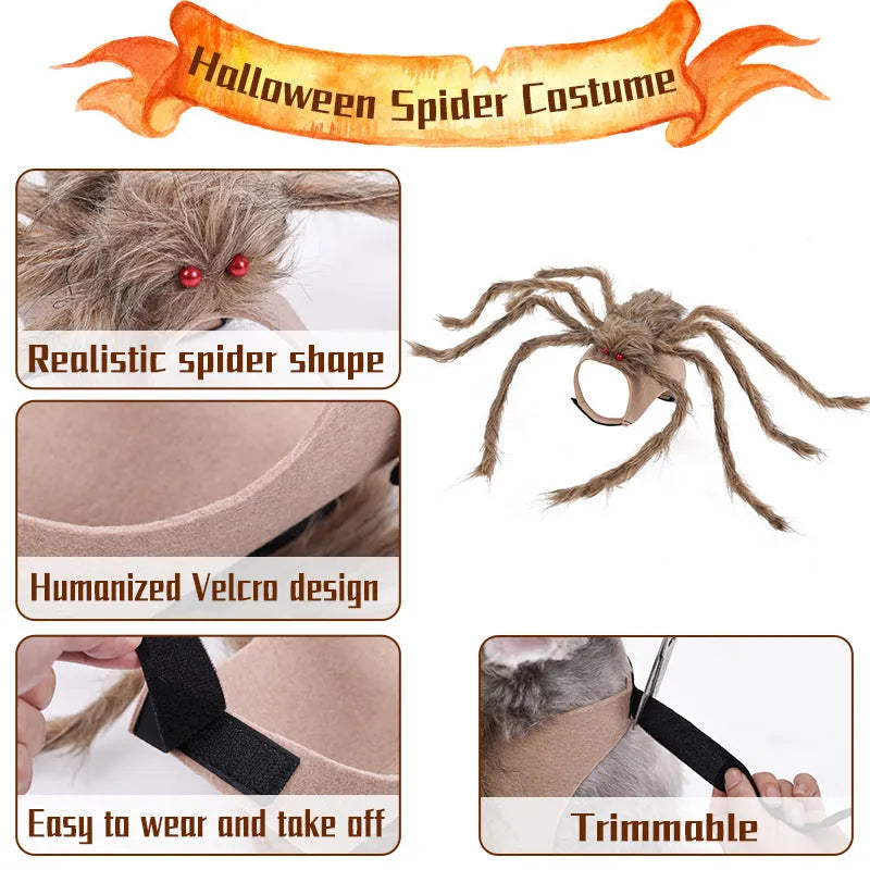 Grey and black spider Halloween costume for a dog on a carpet
