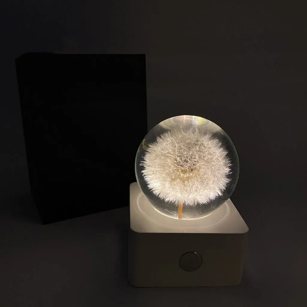8cm dandelion and sunflower specimen USB night light on a desktop